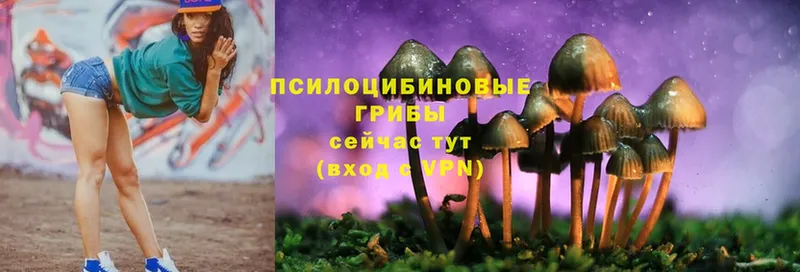 Псилоцибиновые грибы MAGIC MUSHROOMS  omg как войти  shop формула  Заводоуковск 